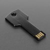 USB Key Key - 2GB [discontinued]
