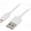 CC-USB2-AMLM-W-1M
