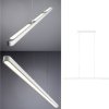 Lampa sufitowa, podwieszana Paulmann Lento BLE Pendell 79903 LED 10.75 W biały 3570 lm