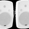 11036931 OMNITRONIC OD-8 Wandlautsprecher 8Ohm, 2er Pack