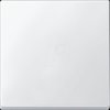 433119 Rocker switch, polar white-satin finish, System M