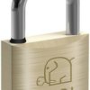 Kłódka Basi 6120-3000 Zamykana na klucz