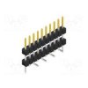 55SL15SMD10710.SP