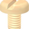 Pan head screw, slotted, M5, 8 mm, PA, DIN 85/ISO 1580, 8505081