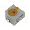 55SMI-1324-TW-5V-2-R