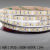 TASMA LED 3528 600/5 24V B.N IP65 PRO 1M