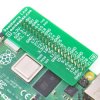Raspberry Leaf GPIO Reference Board