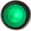 Napęd przycisku zielony z podświetleniem bez samopowrotu M22S-DRL-G 216949 /5szt./