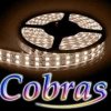 TASMA LED COBRAS 3528 BI.CI.24 CENA ZA 1 METR