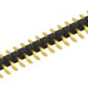 Pin header, 19 pole, pitch 2.54 mm, straight, black, 10080387