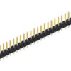 Pin header, 30 pole, pitch 2.54 mm, straight, black, 10046193