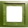 Simon Basic Neos Ramka Pojedyncza Ip44 Miętowy Bmrc1b/032