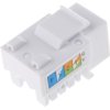 Złącze typu Jack, Cat6, RJ45, UTP