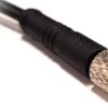Sensor actuator cable, M5-cable socket, straight to open end, 3 pole, 1 m, PUR, black, 1 A, PXPTPU05FBF03ACL010PUR