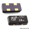 NX1255GA-8.192MHz 8.192 MHz Quartz SMD-NX1255GA NDK