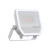 Projektor Led Flood Pfm 50 P 41W/27W 6000Lm/4000Lm 4000K 840 Ps Sy100 Biały 5...