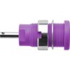 Schützinger DI SEB 6525 Ni/PVI Safety Socket Violet 1pc