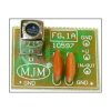 G-1MHz