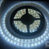 TAŚMA LED 5050 300LED/5m 12V BIAŁY ZIMNY WODOODPORNA