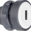 Schneider Electric ZB5AW31 ZB5AW31 Podświetlany element przedni z przyciskiem 1 przycisk wciskanie 1 szt.