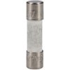 R-TECH 261375 5X20mm 4A 250VAC ceramic fuse time lag fuse