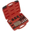 Sealey SX402 Alternator Freewheel Pulley Removal Set 18pc