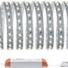 Taśma LED zestaw podstawowy Paulmann MaxLED 500 70829 10 m 24 V