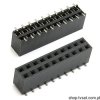 61000421821 Socket 2 x 10 Pin SMD WURTH
