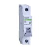Rozłącznik izolacyjny Ex9BI 1P 25A 102379