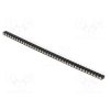 DS1002-01-1X40V13