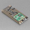 Adafruit Radio FeatherWing - RFM69HCW 900MHz (RadioFruit)