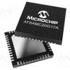 ATSAMC20G17A-MUTS2
