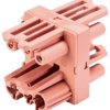 Dystrybutor Wieland Electric 92.030.7553.0