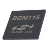 RF BGM11S12f256ga-v2 RF BGM11S12f256ga-v2