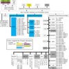 16/32 Bit RISC Flash MCU, Cortex R4F, Auto Q100 | PGE | 144 | -40 to 125
