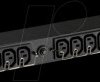 EFLX12I PDU, 12x C13, 1x C19