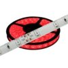 Taśma LED czerwona, 12VDC IP63, 240 lm/m; PRT Economic