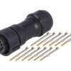Złącze okrągłe X-Lok, wtyk, motaż na przewód, PIN: 12 żeńskie ze stykami CD-12BFFA-QL8MP0