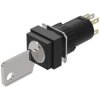 EAO 51-255.022D Keylock Sw 2 posn main SA 1NC+1NO ST/PT 18x18 gold/silver A 311