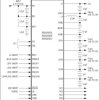 µPMICs for Multimedia Application Processors in a 3.0mm x 2.5mm WLP