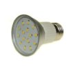 Żarówka Led Prin E27 15X2835 2W Dw