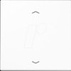 LS 1700 P WW Standard control key, with arrow symbols, Duroplast, alpine whit