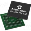 SAM9X75D5MT-I/4TB