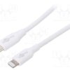 USBC-LIGHT-2.0WH