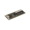 Lichee Tang Nano - zestaw ewaluacyjny z układem FPGA LittleBee GW1N-1