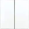DW-F4T55E/10-wg