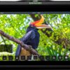Atomos Monitor do lustrzanek 12.7 cm 5 cal HDMI