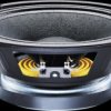 TF0818/8 PA bass-midrange speaker, 100 W, 8 ohms