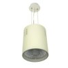 Downlight LED COB LONER 15W DW