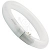 G10q 32W/840 T9C Fi.300 Sylvania 9642